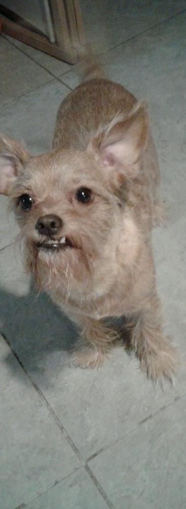 Meet your Posher, Marlene